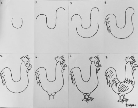 Курица поэтапное рисование