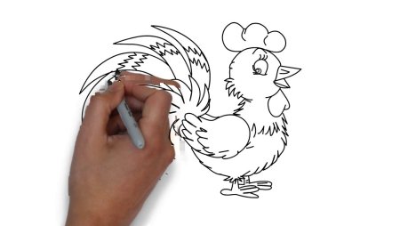 Как нарисовать петуха