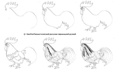 Схема рисования петуха для детей