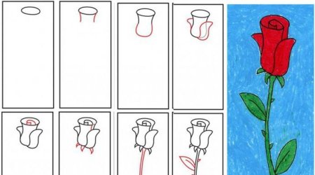 Поэтапное рисование карандашом