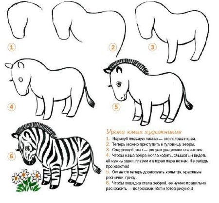 Поэтапное рисование зебры
