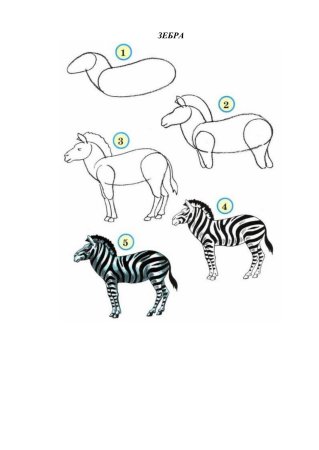 Поэтапное рисование зебры для детей