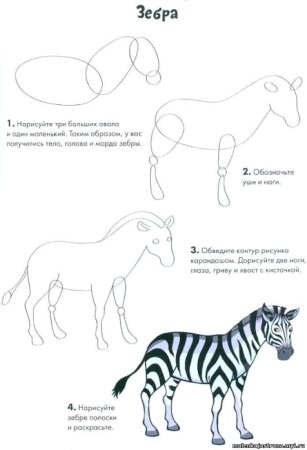 Схема рисования зебры для детей