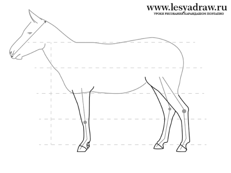 Зебра рисунок поэтапно