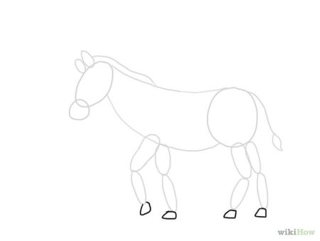 Поэтапное рисование зебры для дошкольников