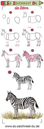 Нарисовать зебру поэтапно