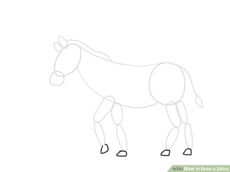 Поэтапное рисование зебры для детей