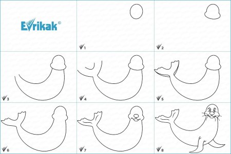 Как нарисовать тюленя поэтапно для детей