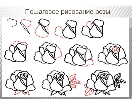 Как нарисовать березу