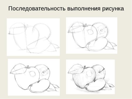 Мишка рисунок карандашом