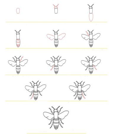 Поэтапное рисование осы для детей
