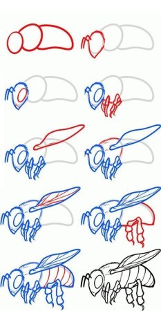 Рисуем пчелу поэтапно