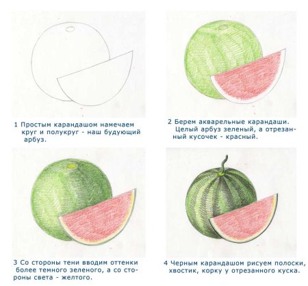 Уроки рисования карандашом фрукты