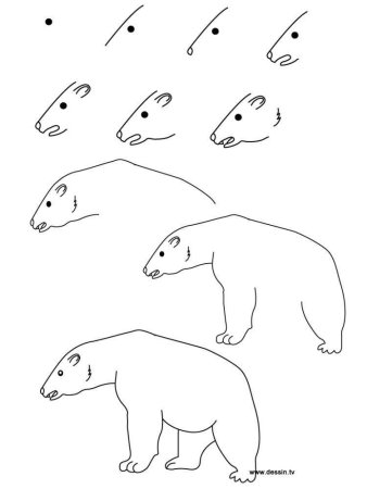 Пошаговый рисунок мишки