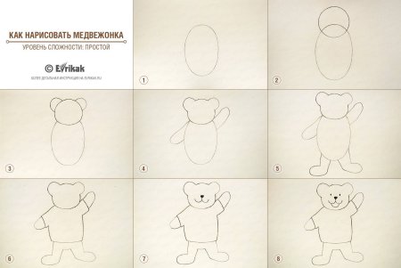 Медведь рисунок карандашом