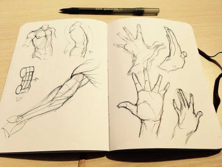 Лёгкие РИСУНКИДЛ скечбука