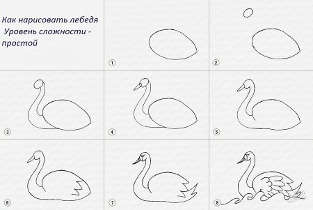 Уроки рисования птиц