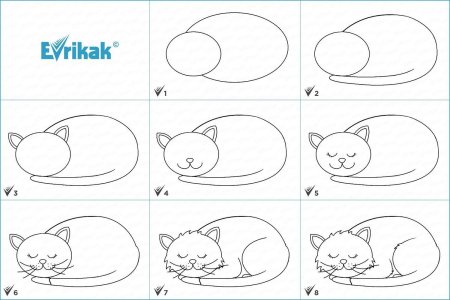 Схема рисования кошки