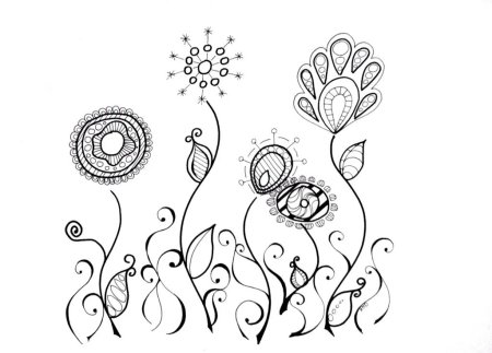 Колибри рисунок карандашом