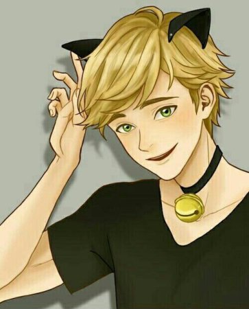 Адриан Агрест кот