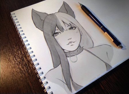 Рисунки для срисовки
