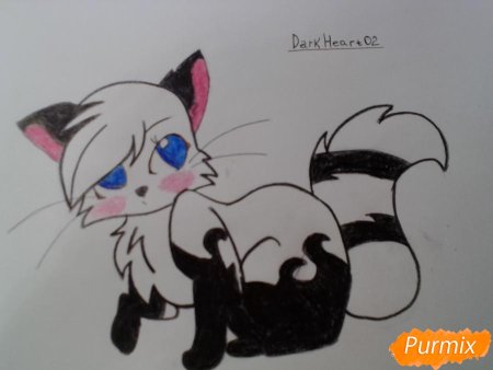 Красивые легкие рисунки кошечек