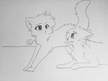 Рисунки котиков карандашом аниме