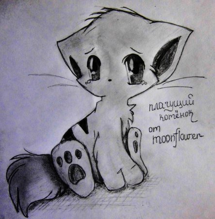 Рисунки для срисовки котики