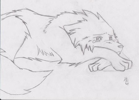 Аниме волки карандашом