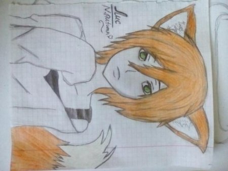 Лисы карандашом аниме