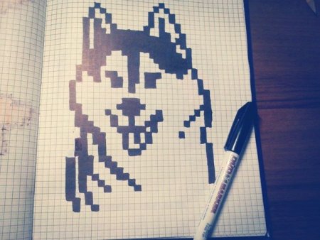 Рисунки по клеточкам ручкой