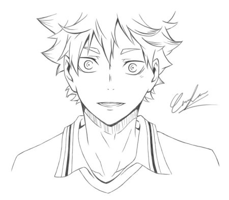 Хината Шое контур