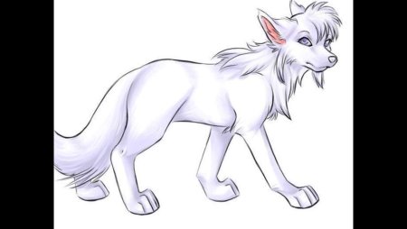 Аниме волки карандашом