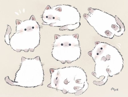 Аниме котики