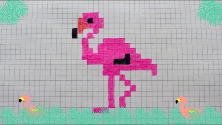 Рисунки по клеточкам Фламинго