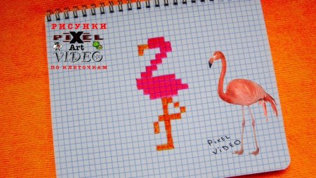Рисунки по клеточкам Фламинго