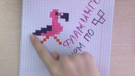 Рисунки по клеточкам Фламинго