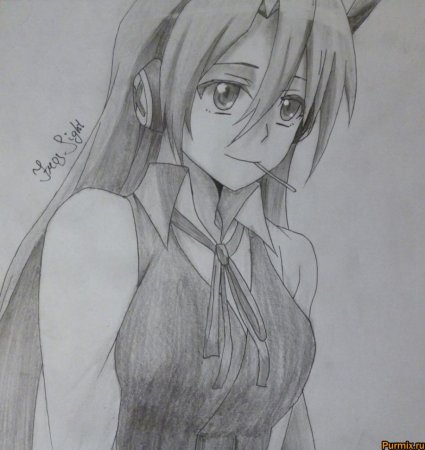 Аниме карандашом убийца акаме