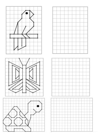 Фигуры по клеточкам в тетради