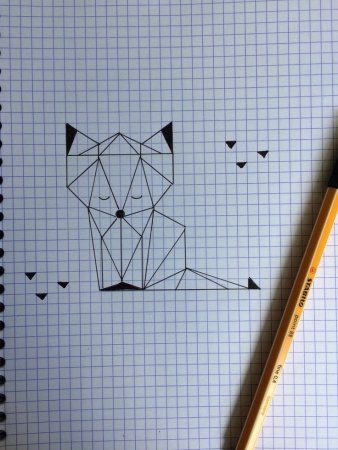 Рисунки по клеточкам чёрной ручкой в тетради
