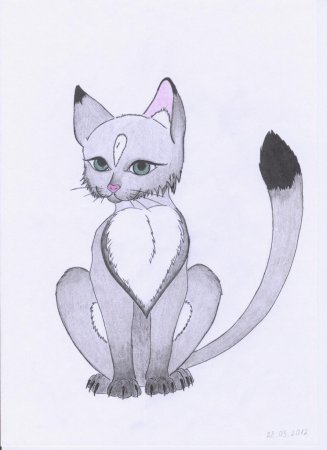 Кошка для срисовки