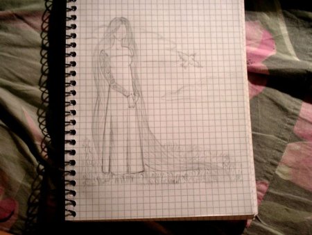 Диснеевские принцессы по клеточкам