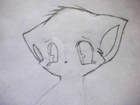 Рисунки котиков карандашом аниме