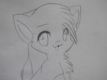 Аниме кошки карандашом