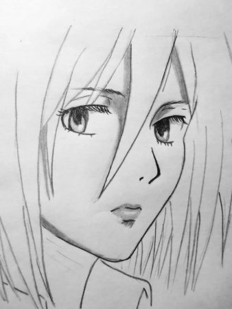 Рисунка карандашом анимелп
