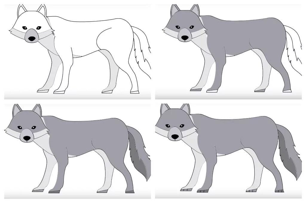 Волк поэтапно для детей. Поэтапное рисование волка для детей. Пошаговое рисование волка. Волк рисунок схема. Волк рисунок для детей пошагово.