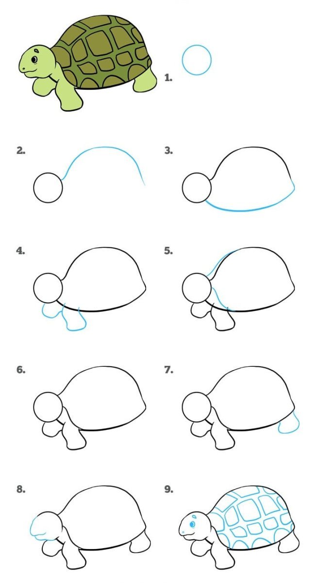 Нарисовать черепаху ребенку