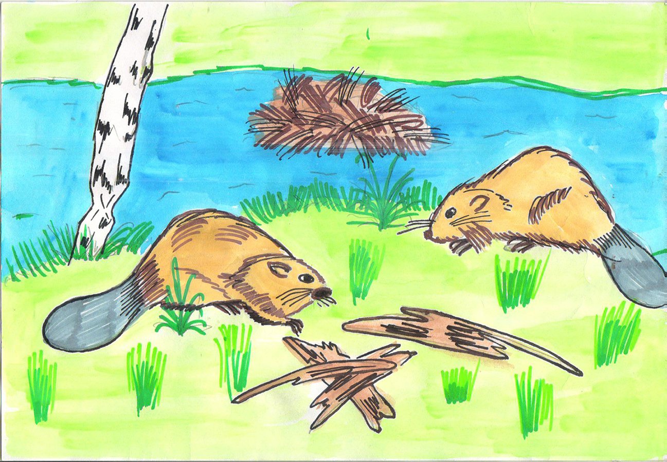 Рисунки на тему природа и животные