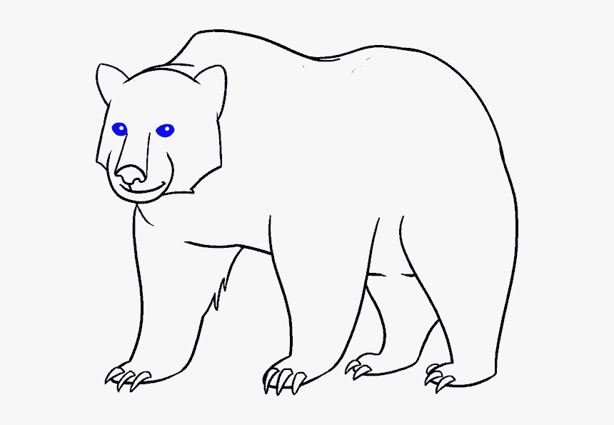 Как нарисовать белого медведя поэтапно для детей. Схематичный рисунок медведя. Медведь для детей легко. Медведь для срисовки для детей. Рисунок медведя 4 класс.