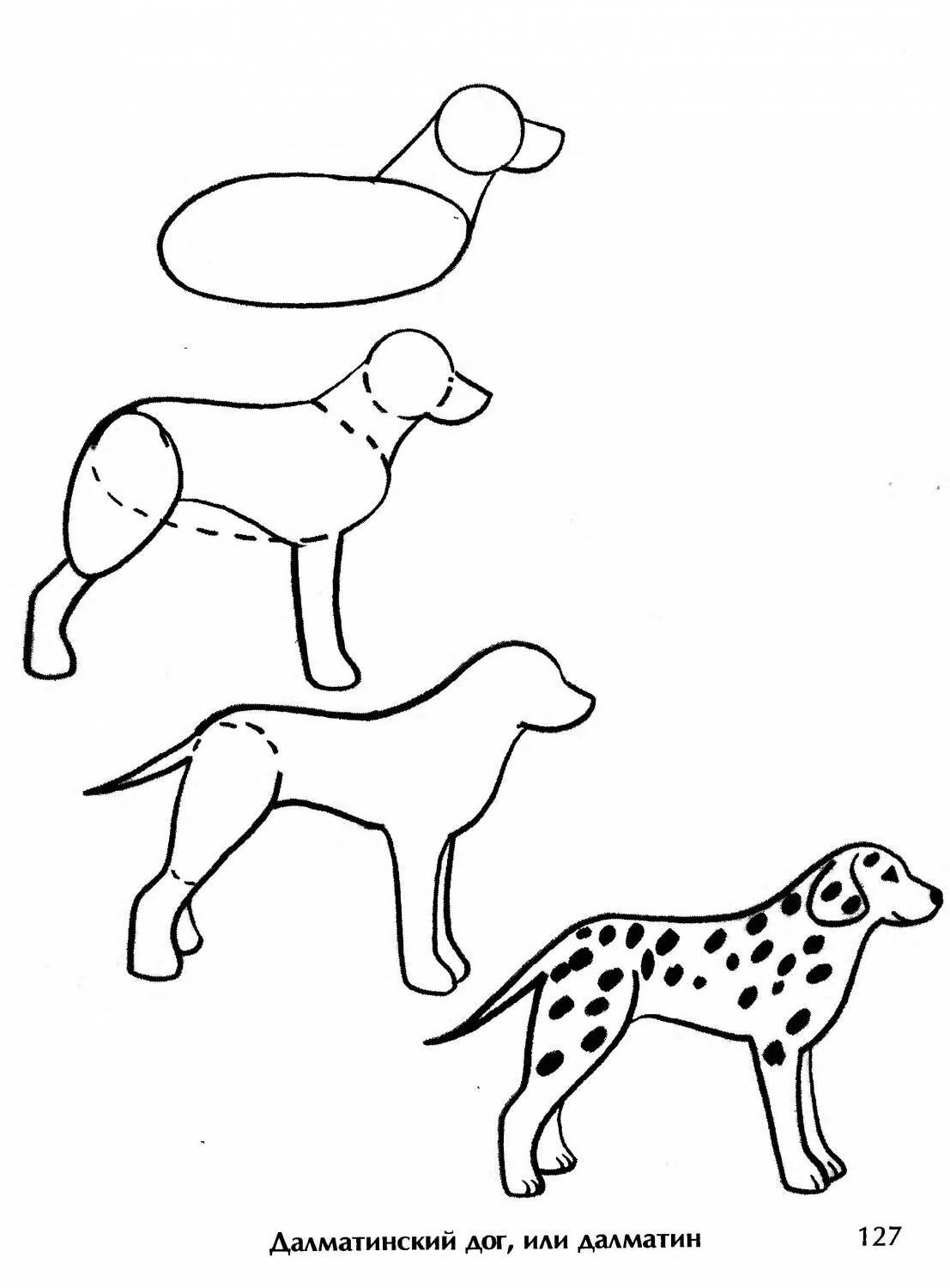 Рисование собаки поэтапно